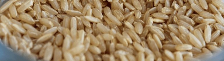 ryż w diecie - charakterystyka tanie i dobrej diety